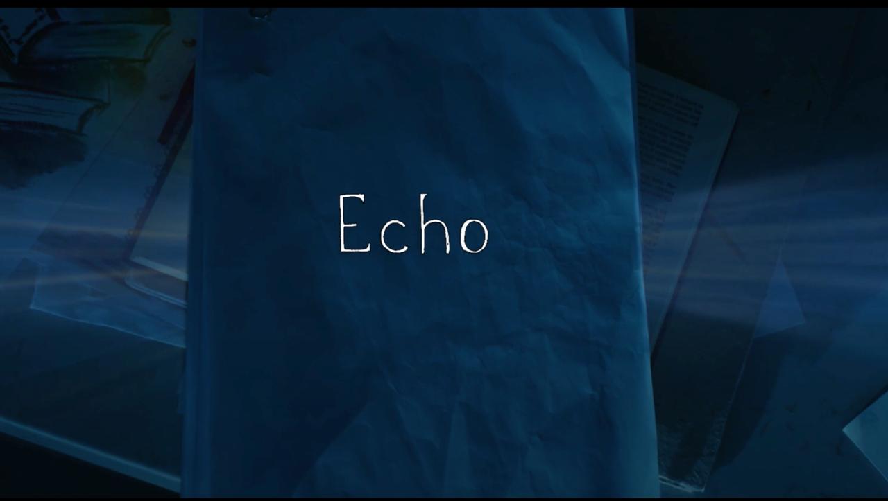Echo